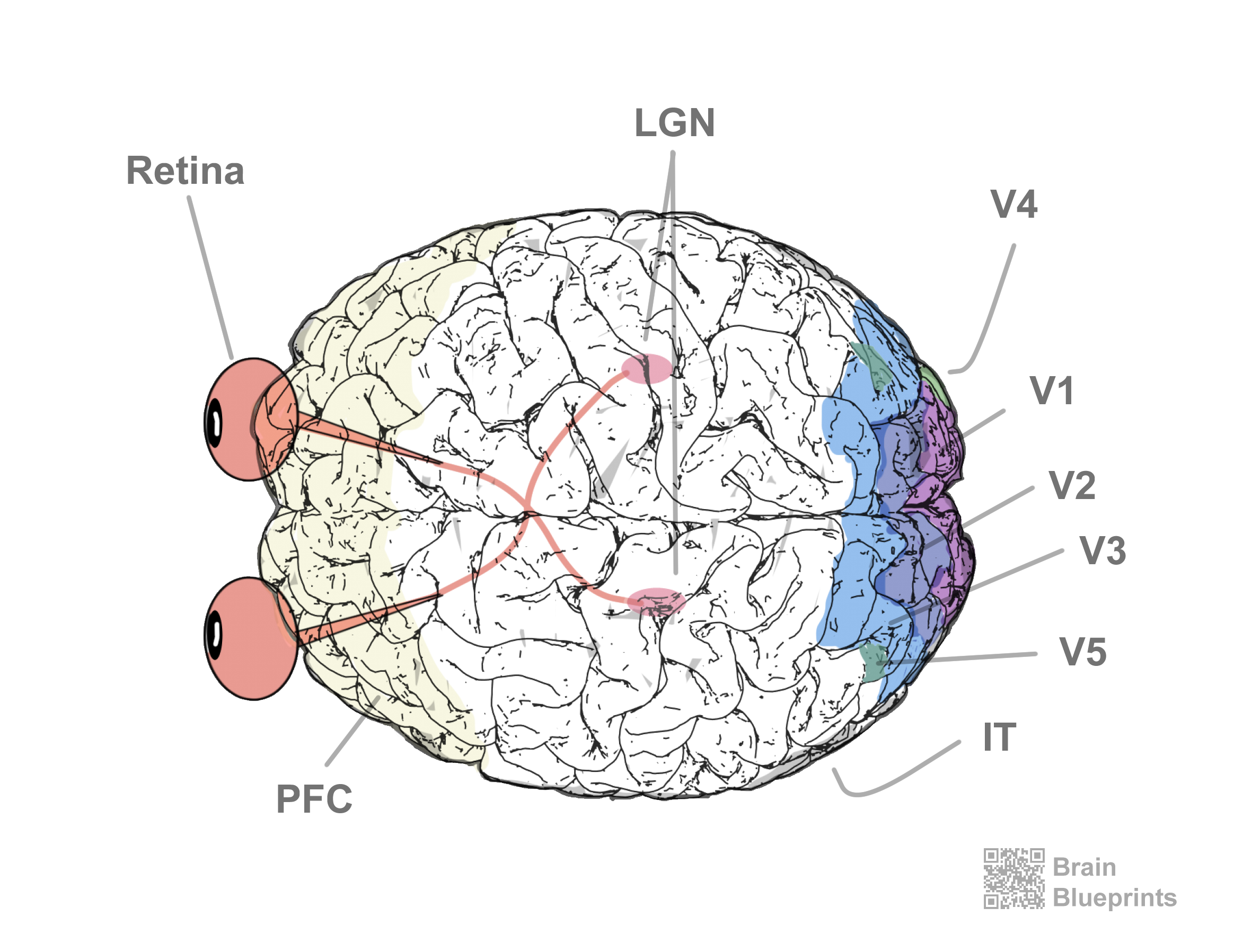 Vision Systems View