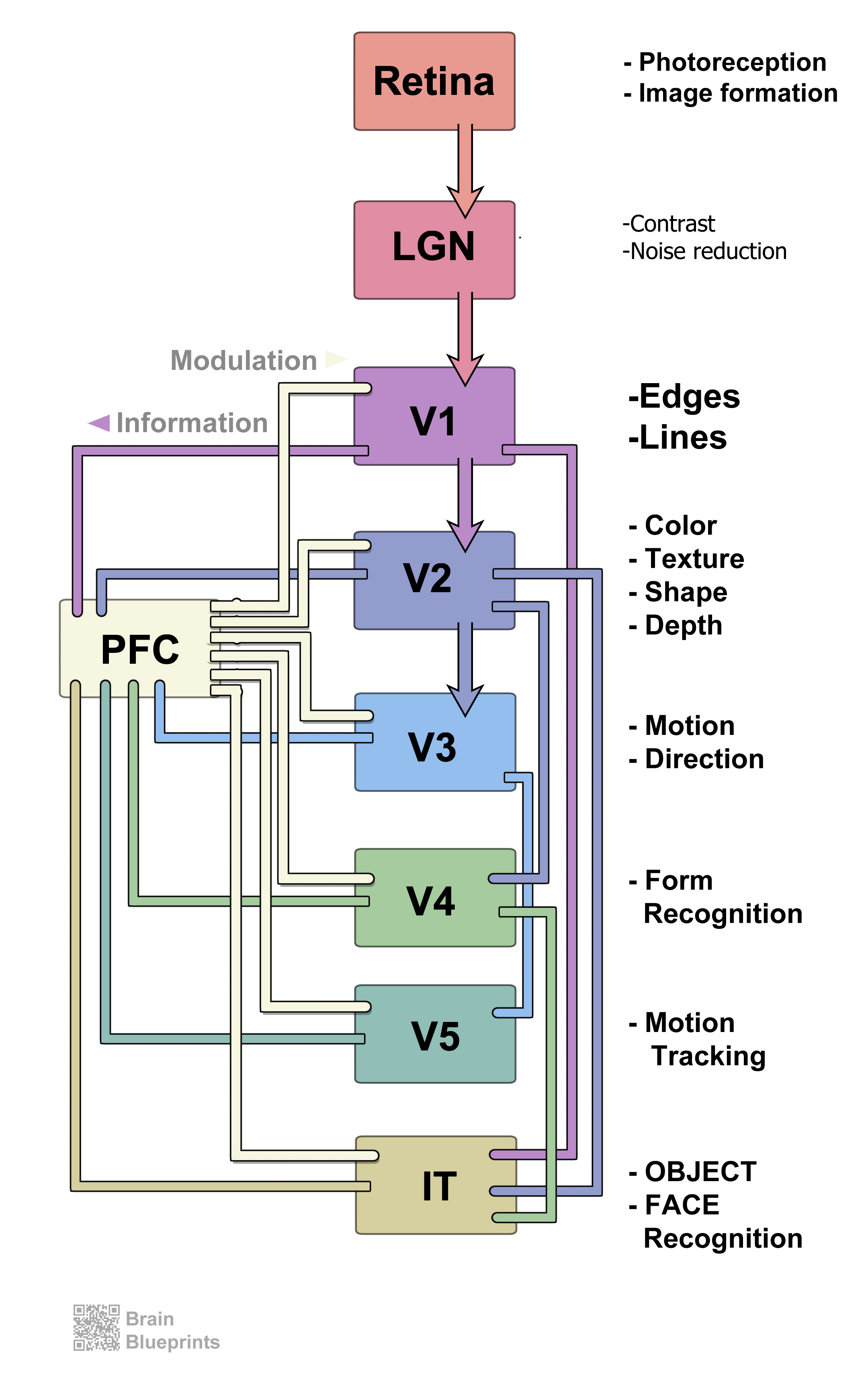 Vision Systems View